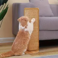 OEM Kattenmand van karton - Duurzaam ontwerp, stevig en bestand tegen krassen - Bescherming tegen krassen - Kattenmand of -mat voor katten - Ideaal accessoire voor de verzorging van uw kat