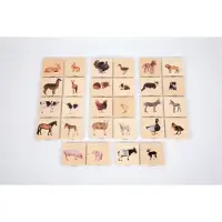 TickiT Matching Game voor huisdier families