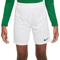 Nike Dri-FIT Park III Voetbalbroekje Kids Wit Groen