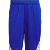 Adidas Sportbroek 'Legends' kobaltblauw / offwhite