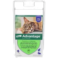 Advantage Antiparasitaire Vlooien Pipetten 4 Stuks
