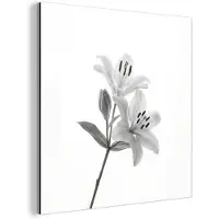 MuchoWow Aluminium schilderij 20x20 cm - Wanddecoratie metaal - Lelies - Elegant - Zwart - Wit - Metalen muurdecoratie woonkamer - Decoratie industrieel - Foto op dibond - Industriële accessoires slaapkamer