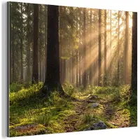 MuchoWow Aluminium schilderij 80x60 cm - Wanddecoratie metaal - Bos - Zonlicht - Gras - Metalen muurdecoratie woonkamer - Decoratie industrieel - Foto op dibond - Industriële accessoires slaapkamer