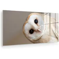 MuchoWow Glasschilderij 40x20 cm - Schilderij acrylglas - Uil - Bruin - Wit - Foto op glas - Muurdecoratie woonkamer - Wanddecoratie slaapkamer - Schilderijen