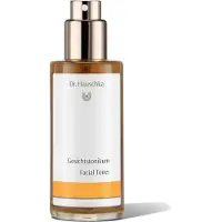 Dr. Hauschka Gesichtspflege Facial Toner For Normal, Dry And Sensitive Skin 100 ml Tonic & Lotion