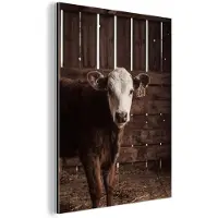 MuchoWow Aluminium schilderij 120x160 cm - Wanddecoratie metaal - Kalf - Oormerk - Houten stal - Metalen muurdecoratie woonkamer - Decoratie industrieel - Foto op dibond - Industriële accessoires slaapkamer