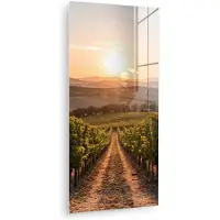 MuchoWow Glasschilderij 20x40 cm - Schilderij acrylglas - Wijngaard - Zonsondergang - Landschap - Foto op glas - Muurdecoratie woonkamer - Wanddecoratie slaapkamer - Schilderijen