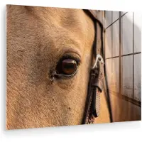 MuchoWow Glasschilderij 160x120 cm - Schilderij acrylglas - Paard - Oog - Bruin - Foto op glas - Muurdecoratie woonkamer - Wanddecoratie slaapkamer - Schilderijen