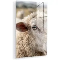 MuchoWow Glasschilderij 20x30 cm - Schilderij acrylglas - Schaap - Oog - Wit - Foto op glas - Muurdecoratie woonkamer - Wanddecoratie slaapkamer - Schilderijen