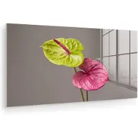 MuchoWow Glasschilderij 120x60 cm - Schilderij acrylglas - Planten - Anthurium - Groen - Roze - Foto op glas - Muurdecoratie woonkamer - Wanddecoratie slaapkamer - Schilderijen