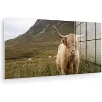 MuchoWow Glasschilderij 160x80 cm - Schilderij acrylglas - Schotse hooglander - Bergen - Grasveld - Foto op glas - Muurdecoratie woonkamer - Wanddecoratie slaapkamer - Schilderijen