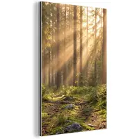 MuchoWow Aluminium schilderij 40x60 cm - Wanddecoratie metaal - Bos - Zonlicht - Gras - Metalen muurdecoratie woonkamer - Decoratie industrieel - Foto op dibond - Industriële accessoires slaapkamer