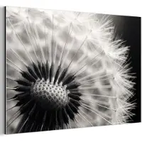 MuchoWow Aluminium schilderij 30x20 cm - Wanddecoratie metaal - Paardenbloem - Zwart - Wit - Metalen muurdecoratie woonkamer - Decoratie industrieel - Foto op dibond - Industriële accessoires slaapkamer