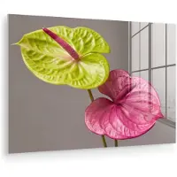 MuchoWow Glasschilderij 180x120 cm - Schilderij acrylglas - Planten - Anthurium - Groen - Roze - Foto op glas - Muurdecoratie woonkamer - Wanddecoratie slaapkamer - Schilderijen