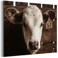 MuchoWow Aluminium schilderij 120x90 cm - Wanddecoratie metaal - Kalf - Oormerk - Houten stal - Metalen muurdecoratie woonkamer - Decoratie industrieel - Foto op dibond - Industriële accessoires slaapkamer