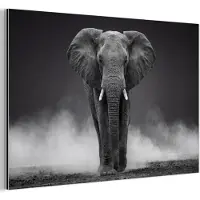 MuchoWow Aluminium schilderij 120x80 cm - Wanddecoratie metaal - Olifant - Zwart - Wit - Rook - Metalen muurdecoratie woonkamer - Decoratie industrieel - Foto op dibond - Industriële accessoires slaapkamer