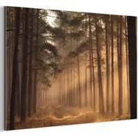 MuchoWow Aluminium schilderij 150x100 cm - Wanddecoratie metaal - Bos - Mist - Zonlicht - Metalen muurdecoratie woonkamer - Decoratie industrieel - Foto op dibond - Industriële accessoires slaapkamer