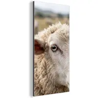 MuchoWow Aluminium schilderij 40x80 cm - Wanddecoratie metaal - Schaap - Oog - Wit - Metalen muurdecoratie woonkamer - Decoratie industrieel - Foto op dibond - Industriële accessoires slaapkamer