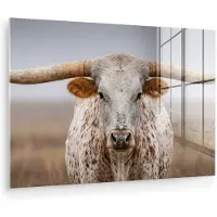 MuchoWow Glasschilderij 180x120 cm - Schilderij acrylglas - Longhorn - Grasveld - Dier - Foto op glas - Muurdecoratie woonkamer - Wanddecoratie slaapkamer - Schilderijen