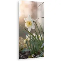 MuchoWow Glasschilderij 40x80 cm - Schilderij acrylglas - Narcis - Bloem - Minimalistisch - Foto op glas - Muurdecoratie woonkamer - Wanddecoratie slaapkamer - Schilderijen