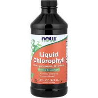 Now Foods Vloeibare Chlorofyl Munt 473 ml – Liquid Chlorophyll 100 mg | Kruiden Supplement / Dietary Supplement