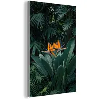 MuchoWow Aluminium schilderij 20x30 cm - Wanddecoratie metaal - Paradijsvogel - Bloem - Exotisch - Metalen muurdecoratie woonkamer - Decoratie industrieel - Foto op dibond - Industriële accessoires slaapkamer