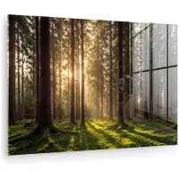 MuchoWow Glasschilderij 60x40 cm - Schilderij acrylglas - Bos - Gras - Zonlicht - Foto op glas - Muurdecoratie woonkamer - Wanddecoratie slaapkamer - Schilderijen