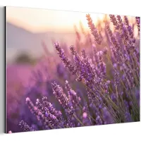 MuchoWow Aluminium schilderij 180x120 cm - Wanddecoratie metaal - Lavendel - Paars - Zonlicht - Metalen muurdecoratie woonkamer - Decoratie industrieel - Foto op dibond - Industriële accessoires slaapkamer