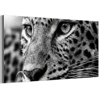 MuchoWow Aluminium schilderij 160x80 cm - Wanddecoratie metaal - Luipaard - Zwart - Wit - Oog - Metalen muurdecoratie woonkamer - Decoratie industrieel - Foto op dibond - Industriële accessoires slaapkamer