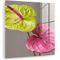 MuchoWow Glasschilderij 20x20 cm - Schilderij acrylglas - Planten - Anthurium - Groen - Roze - Foto op glas - Muurdecoratie woonkamer - Wanddecoratie slaapkamer - Schilderijen