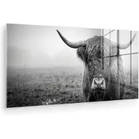 MuchoWow Glasschilderij 40x20 cm - Schilderij acrylglas - Schotse hooglander - Zwart - Wit - Gras - Foto op glas - Muurdecoratie woonkamer - Wanddecoratie slaapkamer - Schilderijen