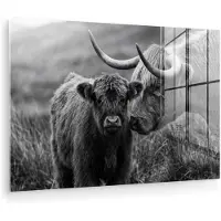 MuchoWow Glasschilderij 180x120 cm - Schilderij acrylglas - Schotse hooglander - Kalf - Zwart - Wit - Foto op glas - Muurdecoratie woonkamer - Wanddecoratie slaapkamer - Schilderijen