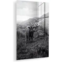 MuchoWow Glasschilderij 20x30 cm - Schilderij acrylglas - Schotse hooglander - Kalf - Zwart - Wit - Foto op glas - Muurdecoratie woonkamer - Wanddecoratie slaapkamer - Schilderijen