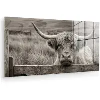MuchoWow Glasschilderij 120x60 cm - Schilderij acrylglas - Schotse hooglander - Zwart - Wit - Hout - Foto op glas - Muurdecoratie woonkamer - Wanddecoratie slaapkamer - Schilderijen