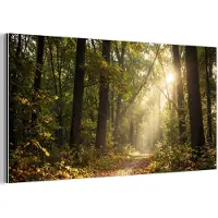 MuchoWow Aluminium schilderij 160x80 cm - Wanddecoratie metaal - Zonlicht - Bospad - Bomen - Metalen muurdecoratie woonkamer - Decoratie industrieel - Foto op dibond - Industriële accessoires slaapkamer