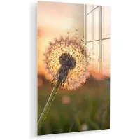 MuchoWow Glasschilderij 100x150 cm - Schilderij acrylglas - Paardenbloem - Zonsondergang - Veld - Foto op glas - Muurdecoratie woonkamer - Wanddecoratie slaapkamer - Schilderijen