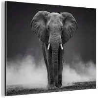 MuchoWow Aluminium schilderij 40x30 cm - Wanddecoratie metaal - Olifant - Zwart - Wit - Rook - Metalen muurdecoratie woonkamer - Decoratie industrieel - Foto op dibond - Industriële accessoires slaapkamer