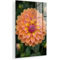 MuchoWow Glasschilderij 120x180 cm - Schilderij acrylglas - Dahlia - Bloem - Oranje - Foto op glas - Muurdecoratie woonkamer - Wanddecoratie slaapkamer - Schilderijen