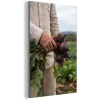 MuchoWow Aluminium schilderij 120x180 cm - Wanddecoratie metaal - Bieten - Vers - Moestuin - Metalen muurdecoratie woonkamer - Decoratie industrieel - Foto op dibond - Industriële accessoires slaapkamer