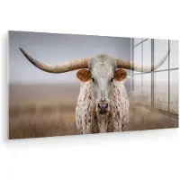 MuchoWow Glasschilderij 80x40 cm - Schilderij acrylglas - Longhorn - Grasveld - Dier - Foto op glas - Muurdecoratie woonkamer - Wanddecoratie slaapkamer - Schilderijen