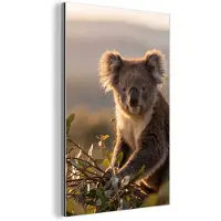 MuchoWow Aluminium schilderij 100x150 cm - Wanddecoratie metaal - Koala - Bladeren - Ochtendlicht - Metalen muurdecoratie woonkamer - Decoratie industrieel - Foto op dibond - Industriële accessoires slaapkamer