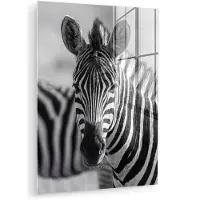 MuchoWow Glasschilderij 120x160 cm - Schilderij acrylglas - Zebra's - Zwart - Wit - Foto op glas - Muurdecoratie woonkamer - Wanddecoratie slaapkamer - Schilderijen