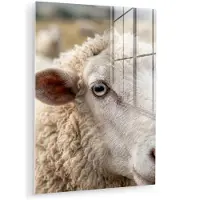 MuchoWow Glasschilderij 60x80 cm - Schilderij acrylglas - Schaap - Oog - Wit - Foto op glas - Muurdecoratie woonkamer - Wanddecoratie slaapkamer - Schilderijen
