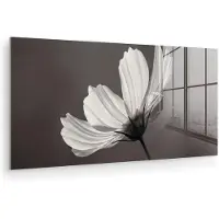MuchoWow Glasschilderij 80x40 cm - Schilderij acrylglas - Bloem - Minimalistisch - Zwart - Wit - Foto op glas - Muurdecoratie woonkamer - Wanddecoratie slaapkamer - Schilderijen