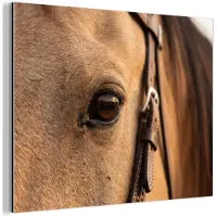 MuchoWow Aluminium schilderij 160x120 cm - Wanddecoratie metaal - Paard - Oog - Bruin - Metalen muurdecoratie woonkamer - Decoratie industrieel - Foto op dibond - Industriële accessoires slaapkamer