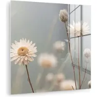 MuchoWow Glasschilderij 90x90 cm - Schilderij acrylglas - Strobloemen - Wit - Daglicht - Foto op glas - Muurdecoratie woonkamer - Wanddecoratie slaapkamer - Schilderijen