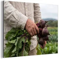 MuchoWow Aluminium schilderij 160x120 cm - Wanddecoratie metaal - Bieten - Vers - Moestuin - Metalen muurdecoratie woonkamer - Decoratie industrieel - Foto op dibond - Industriële accessoires slaapkamer