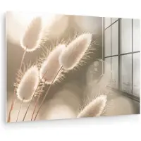 MuchoWow Glasschilderij 180x120 cm - Schilderij acrylglas - Hazestaartgras - Wit - Zonlicht - Foto op glas - Muurdecoratie woonkamer - Wanddecoratie slaapkamer - Schilderijen
