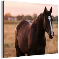 MuchoWow Aluminium schilderij 160x120 cm - Wanddecoratie metaal - Paard - Zonsondergang - Bruin - Metalen muurdecoratie woonkamer - Decoratie industrieel - Foto op dibond - Industriële accessoires slaapkamer