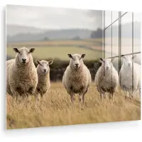 MuchoWow Glasschilderij 160x120 cm - Schilderij acrylglas - Schapen - Weidenlandschap - Heuvels - Foto op glas - Muurdecoratie woonkamer - Wanddecoratie slaapkamer - Schilderijen